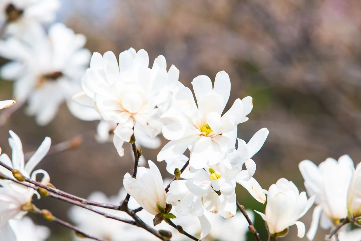 Атмосферний фронт несе дощі - прогноз погоди на сьогодні