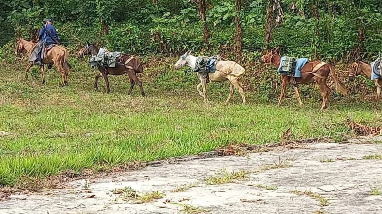 Cuba prepares air defense with ox-drawn machine guns amid threats from the US, defense capability situation is critical