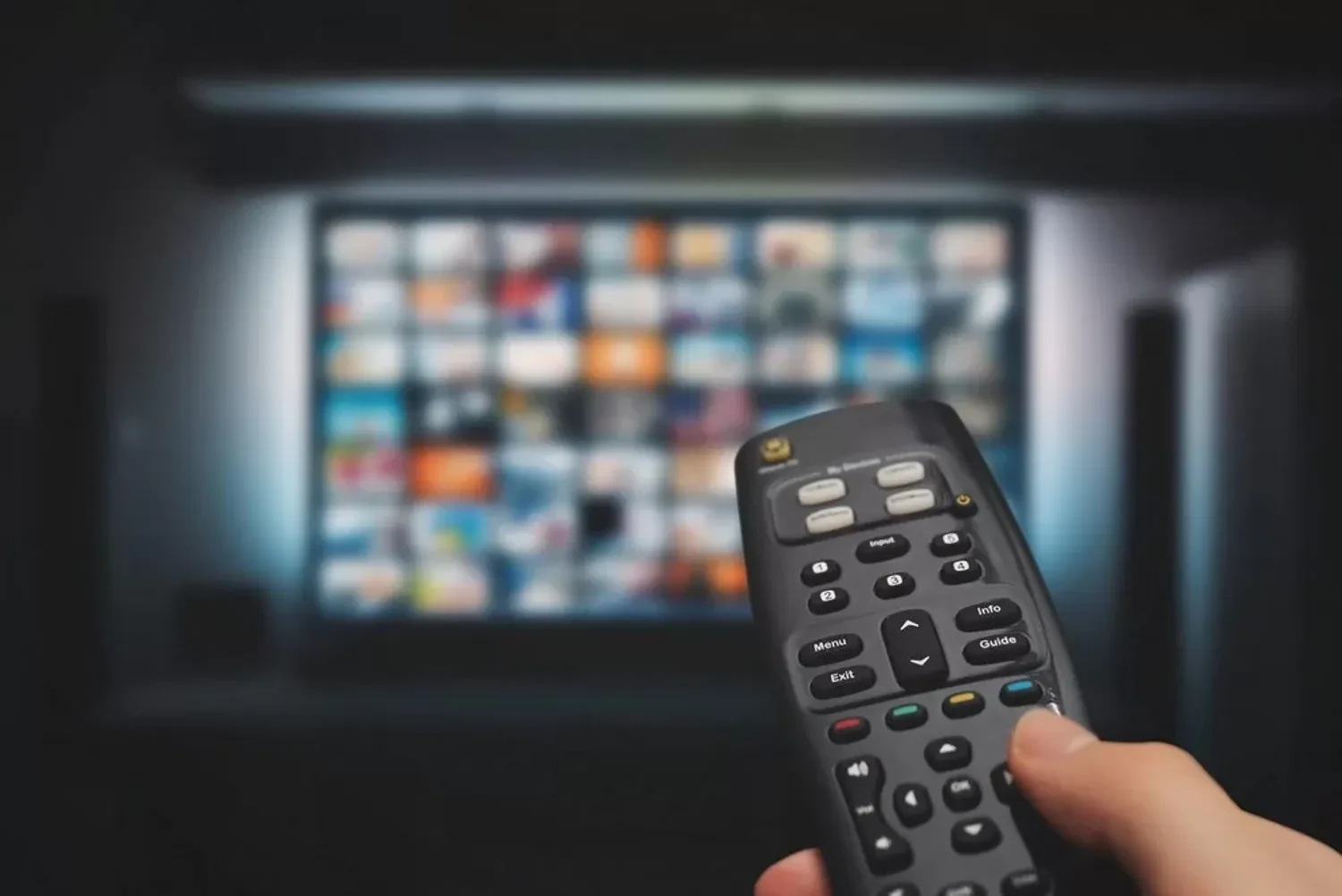 Georgian authorities began accusing the opposition of preparing a "revolutionary scenario"