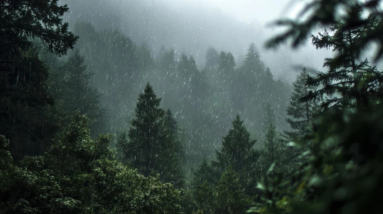 Rains and stormy winds to hit Ukraine on April 23