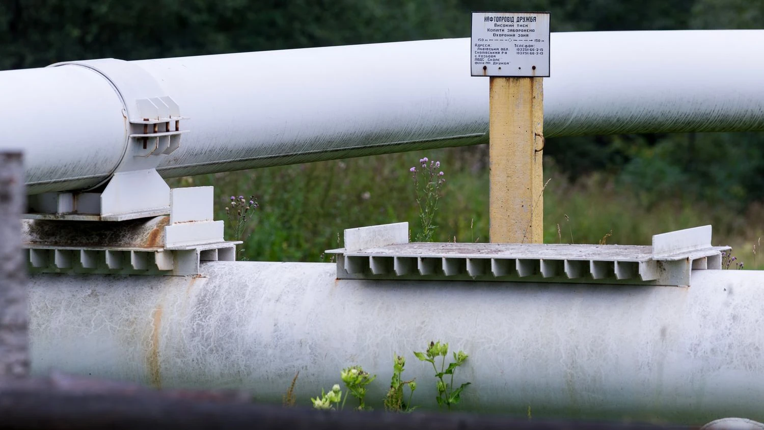 "Druzhba" restored - expert explained why Hungary and Slovakia do not refuse Russian oil