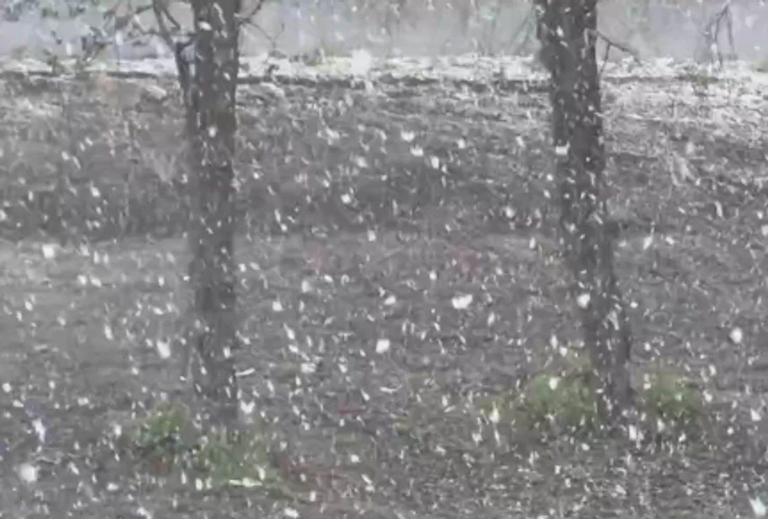 В Україні за тиждень до травня вирішила повернутися зима - у низці регіонів засніжило