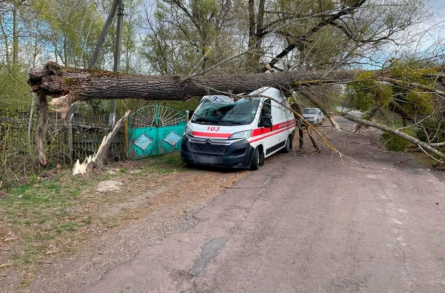Наслідки негоди в Україні - дерева падають на авто та спричиняють пожежі