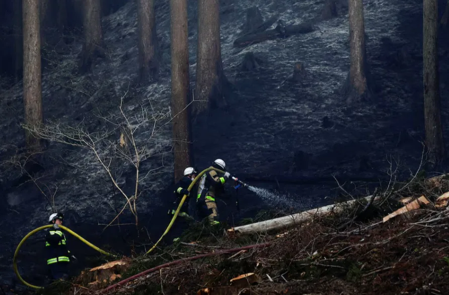 У Японії лісові пожежі змусили евакуювати понад 3000 людей, до гасіння залучили тисячу пожежників