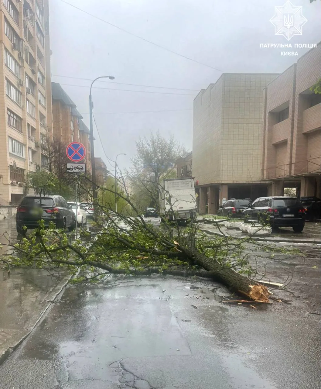 Негода накрила Київ та область: у соцмережах повідомляють про повалений 150-річний каштан та пошкоджений дах