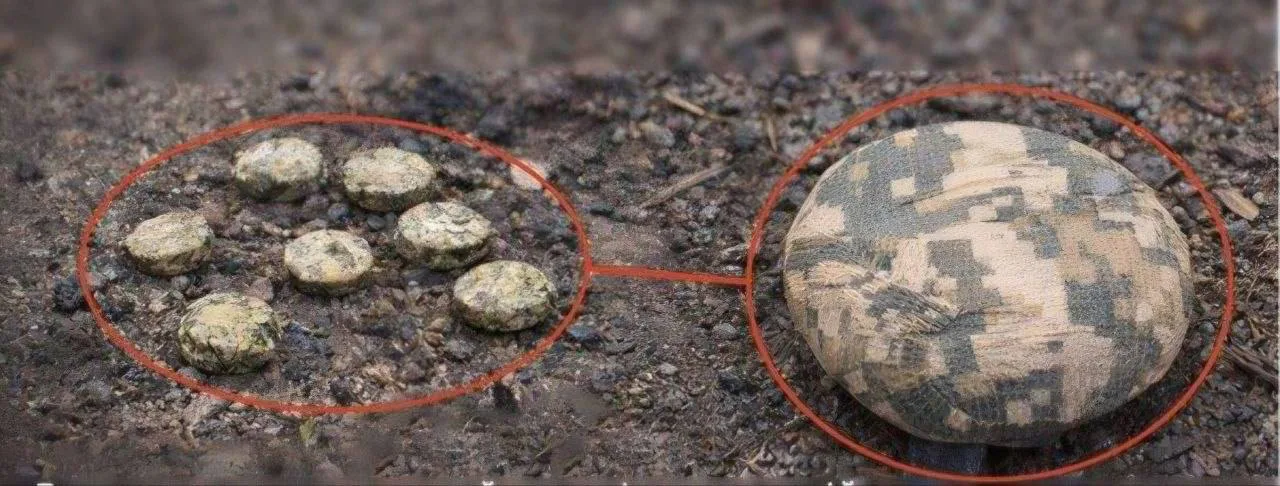 Ворог дистанційно замінував територію біля школи в Херсоні - мер