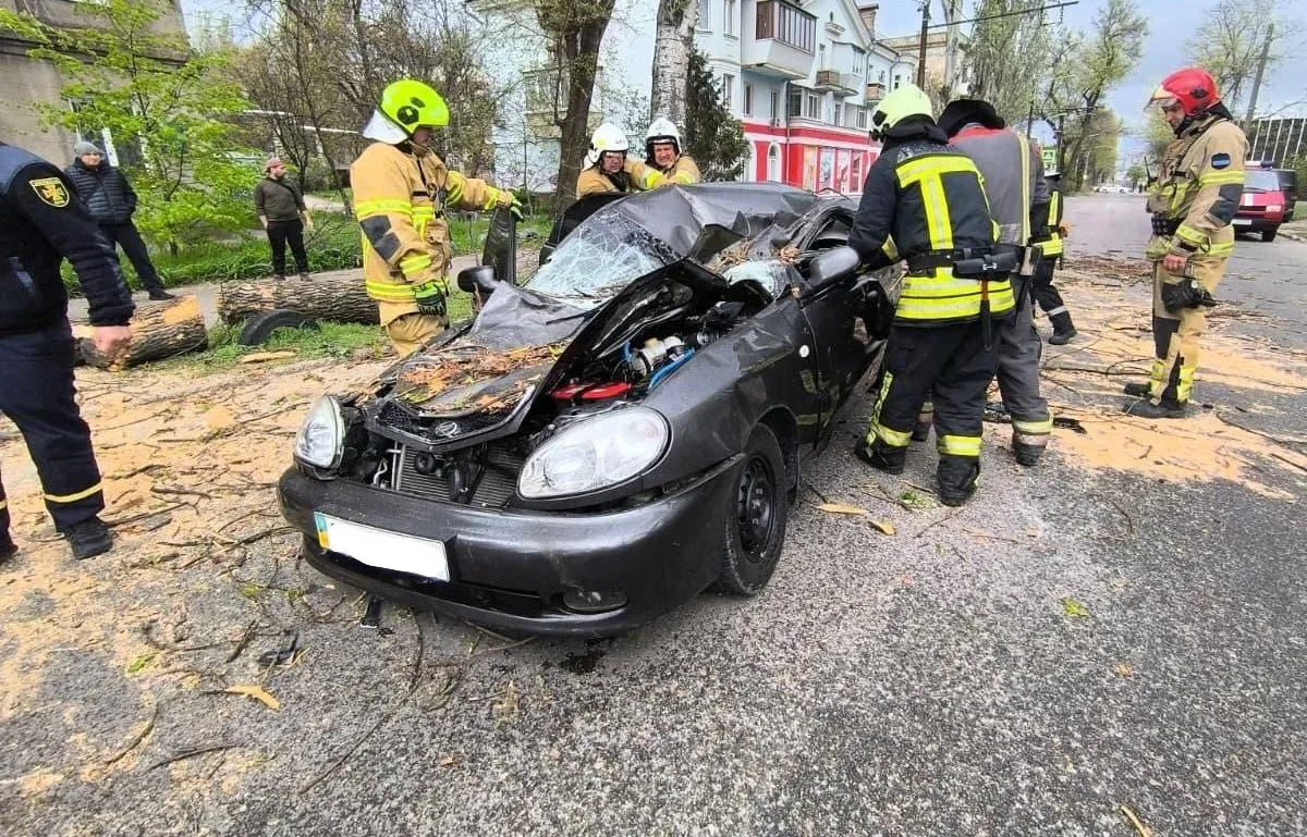 In Zaporizhzhia, a tree fell on a car and killed a 39-year-old driver during severe weather
