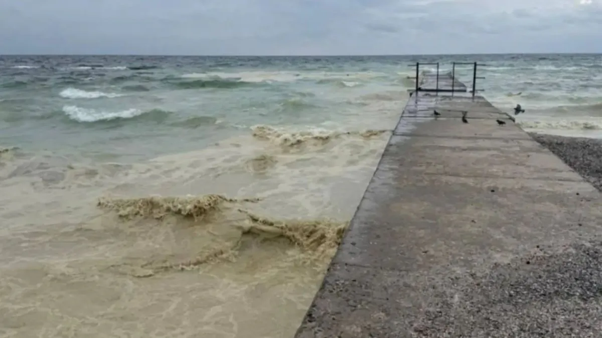 Black Sea oil pollution: ecologist explains consequences of Russian strike on port infrastructure