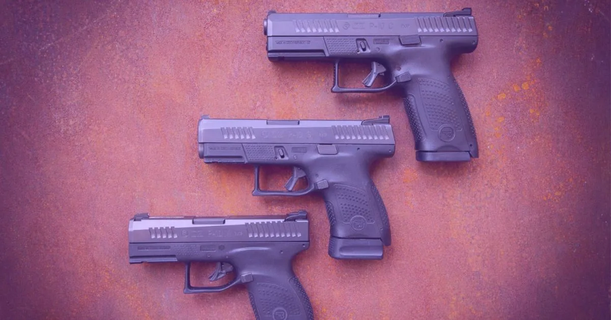 Рада створює робочу групу для узгодження законопроєктів про цивільну зброю з нормами ЄС - що передбачається