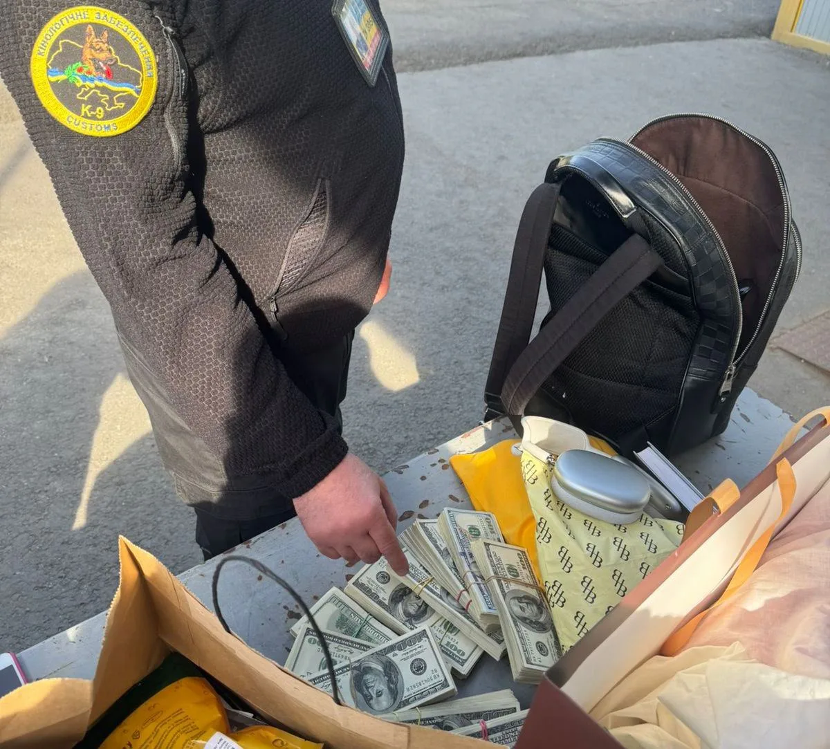 У речах жительки Закарпаття, яка прямувала до Словаччини, службовий пес митників винюхав 4 млн грн готівки