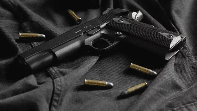 Україні потрібен закон про цивільну вогнепальну зброю, який захистить і громадян без зброї - Зеленський