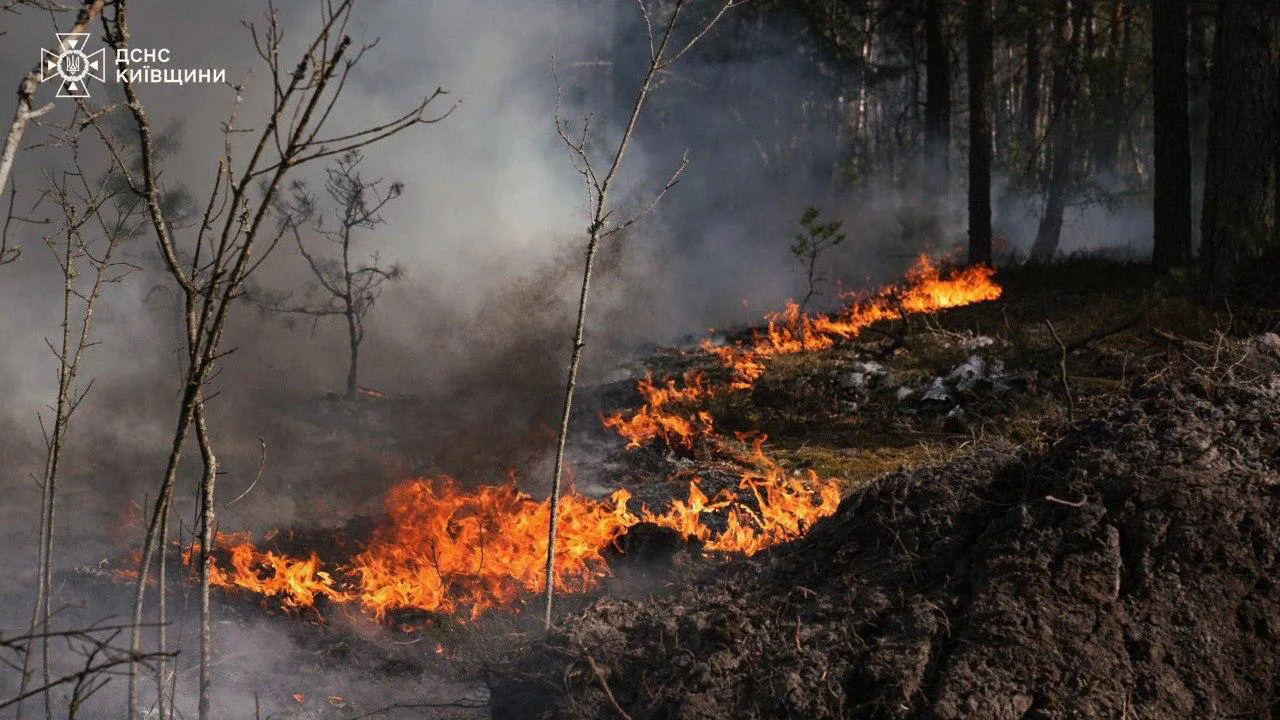 Large-scale fire breaks out in the exclusion zone; firefighting efforts ...