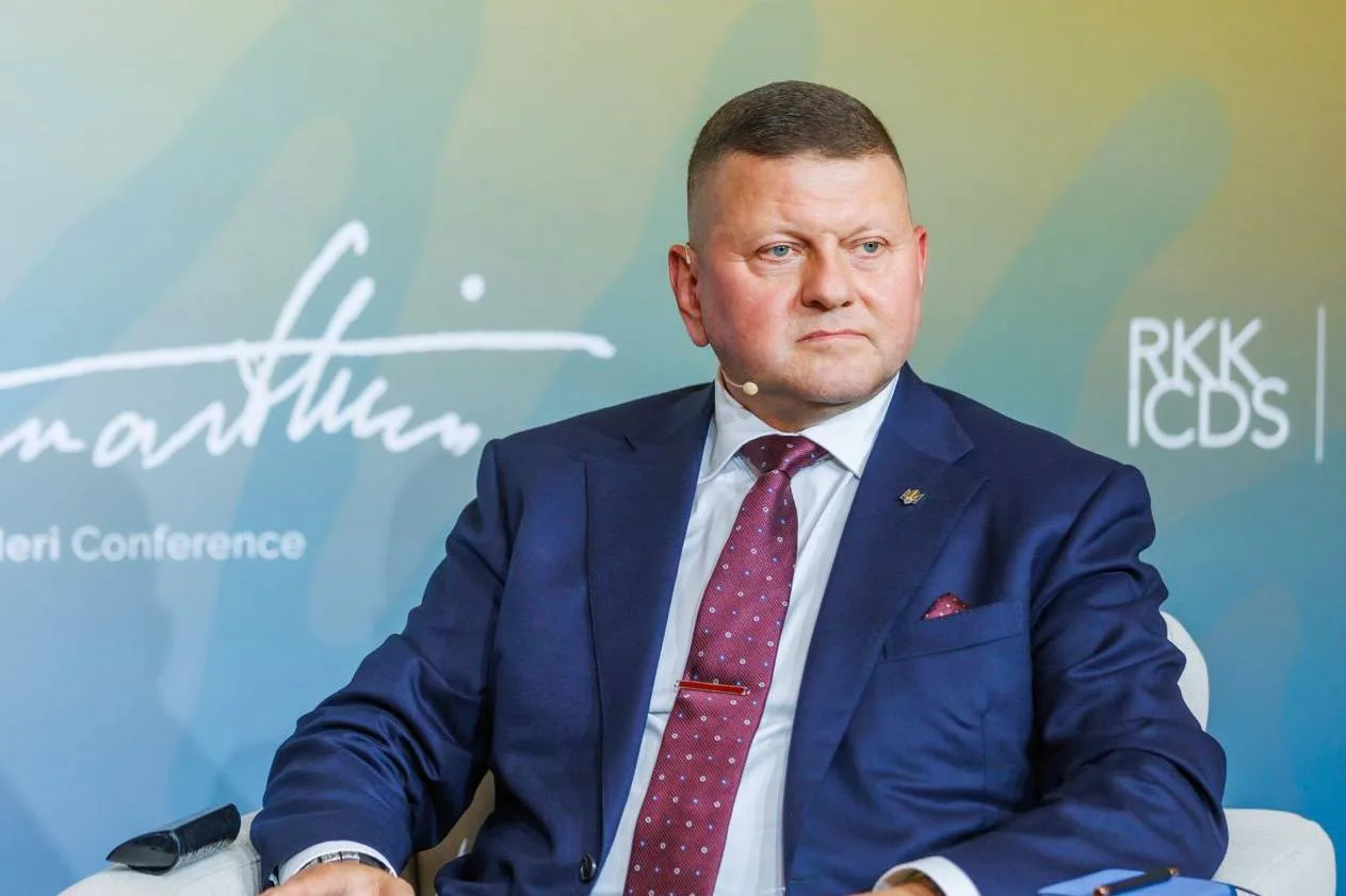 The world order no longer works — Zaluzhnyi calls for new security solutions