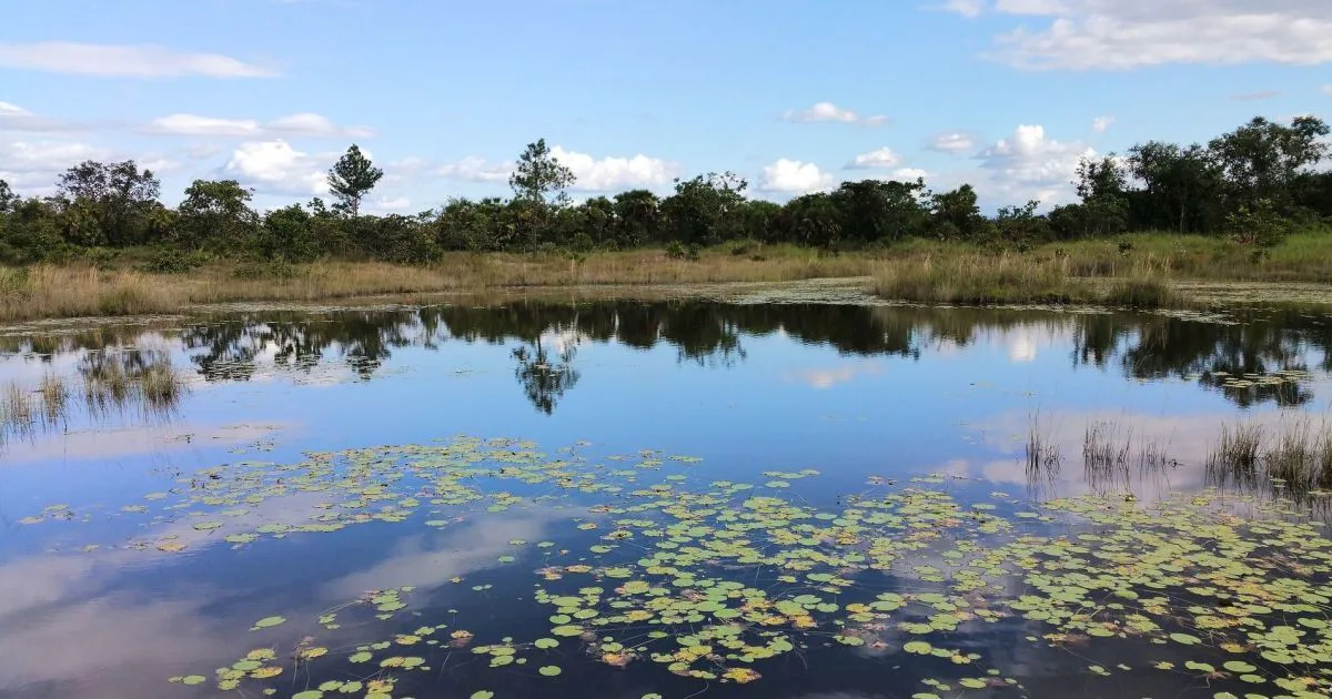 34 people have died in Ukraine's water bodies since the beginning of May