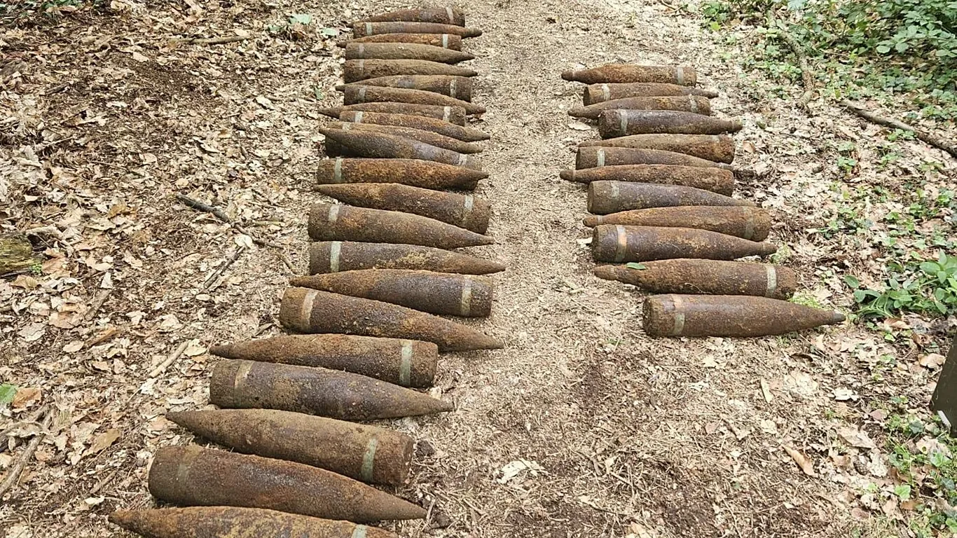59 unexploded World War II shells found in Berlin forest