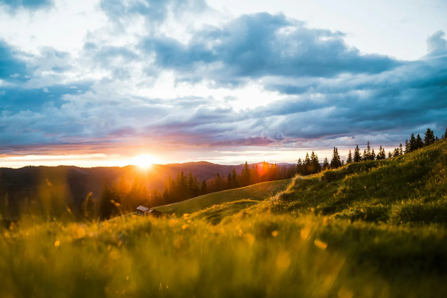 Summer in Ukraine will begin with comfortable warmth and sunny weather