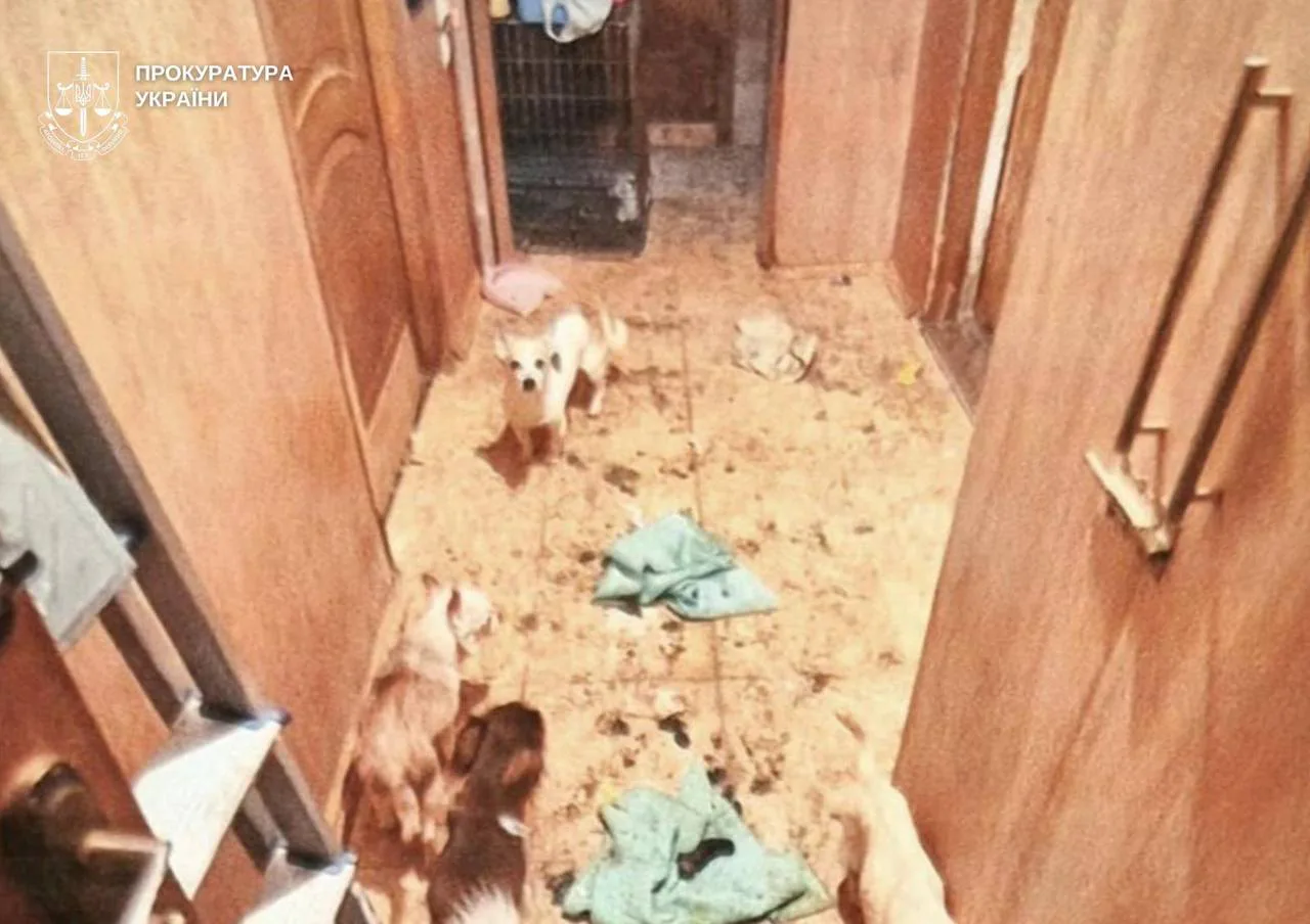 In Kyiv, a woman who kept a wolf and a fox in her apartment will stand trial for animal cruelty. She faces up to three years behind bars