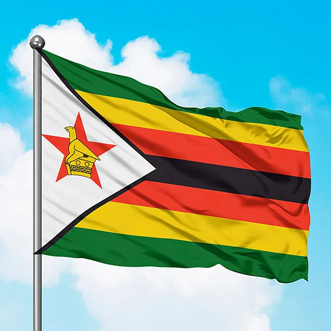 Seven schoolchildren killed in Zimbabwe minibus fire