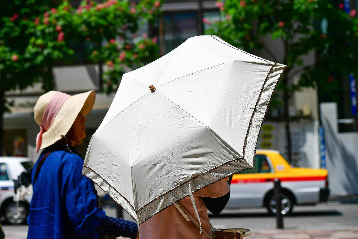 Europe on high alert due to deadly heatwave spreading