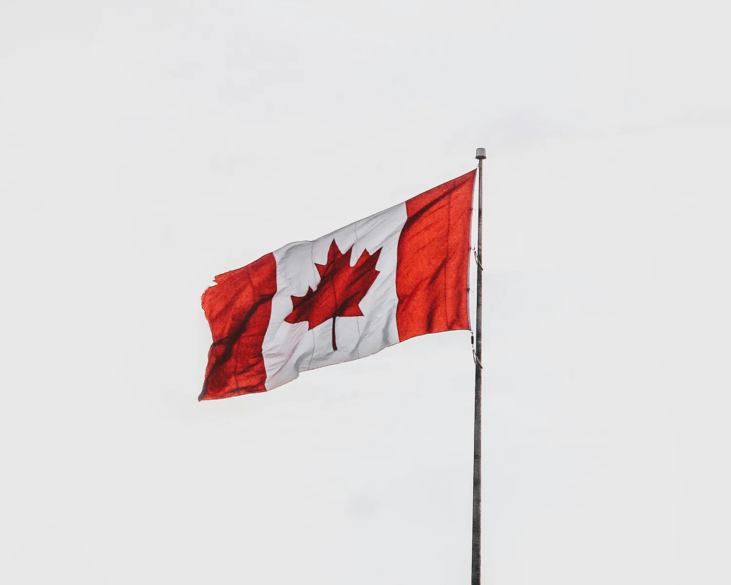 Canada plans to announce support from 10 countries for global defense bank at NATO summit