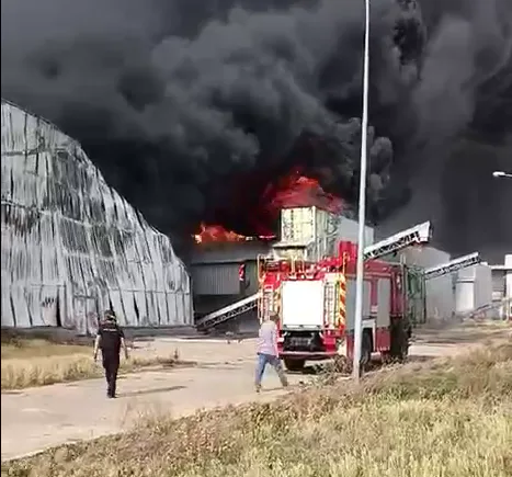 The enemy struck with KABs the largest poultry farm in Europe, 