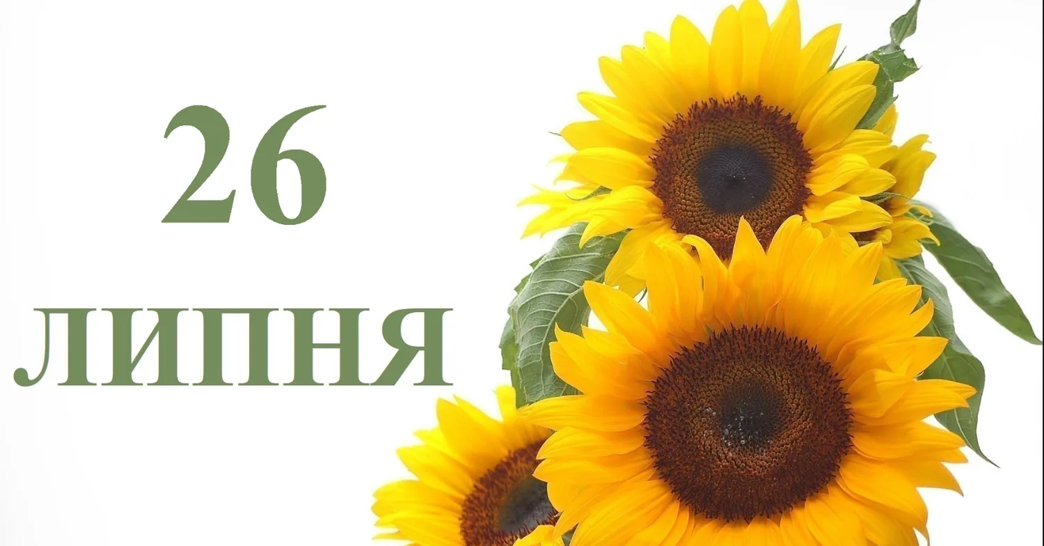 What is celebrated on July 26 in Ukraine and the world