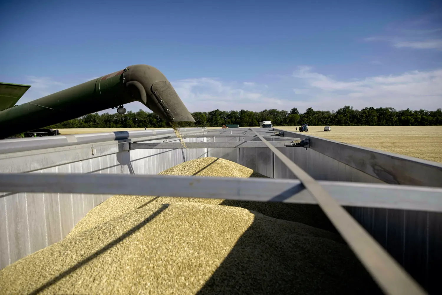 Ukraine’s agricultural exports could decline by 54% due to attacks on ports — Bloomberg