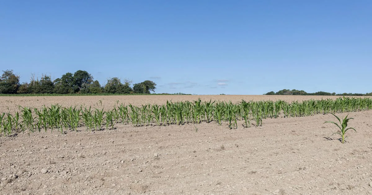 Record-breaking hot summer to cost the EU economy €180 billion
