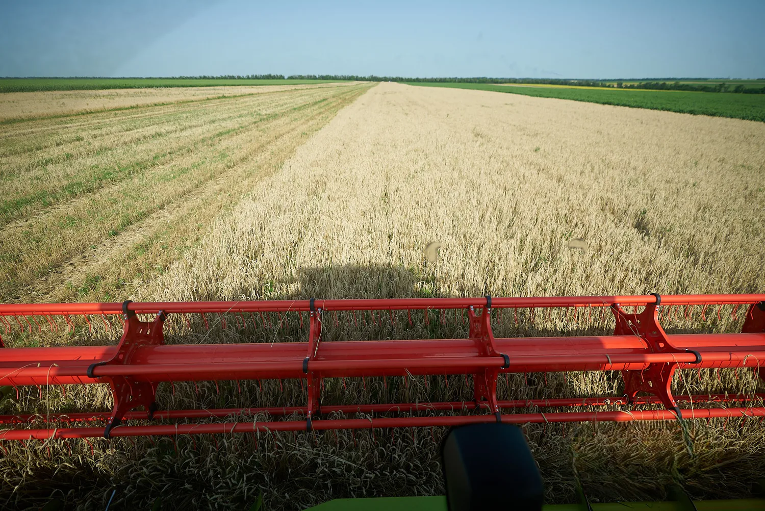 2026 Harvest: Ukraine has already harvested nearly half of its fields