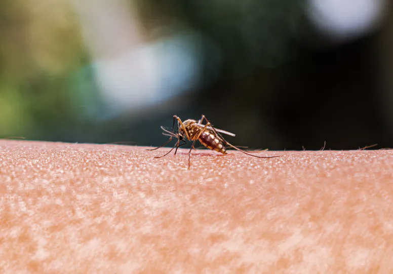 At Frankfurt Airport, two workers have died of malaria, and five more have fallen ill