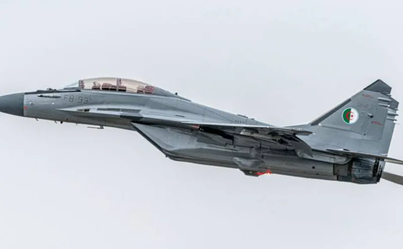 Algeria sent fighter jets to Niger after a failed military coup