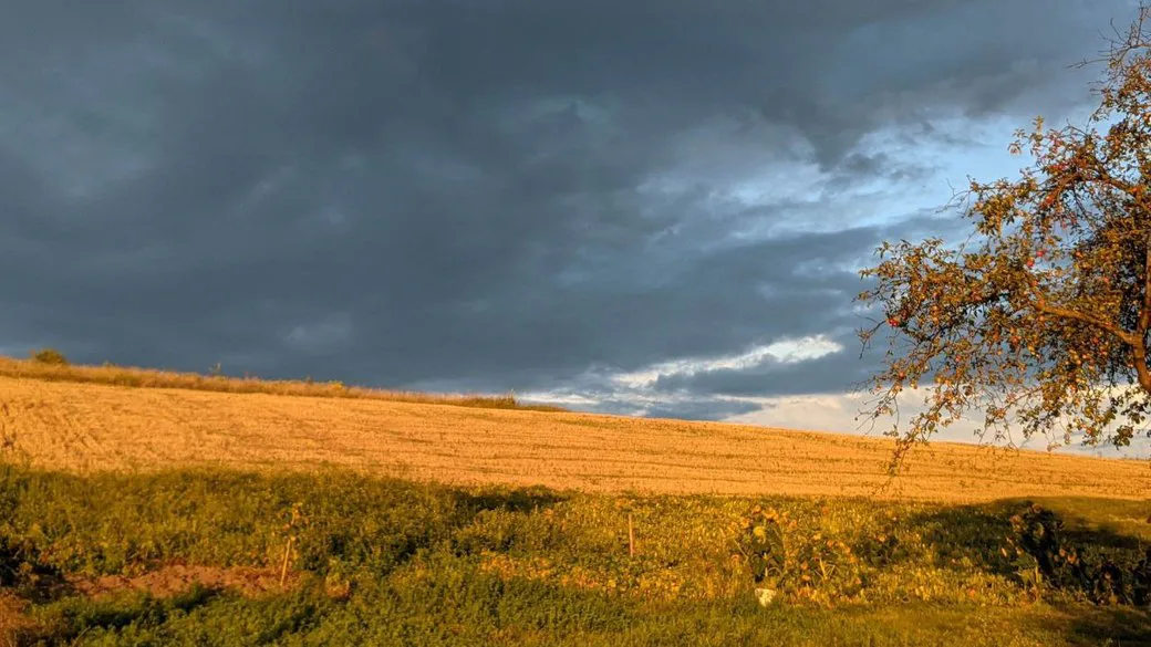 A cold atmospheric front is moving into Ukraine: rain, strong winds, and a sharp drop in temperature are expected