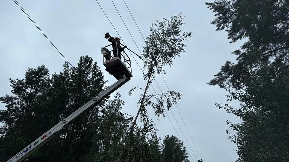 In Ukraine, Russian shelling has caused power outages in eight regions, while more than 600 settlements are without electricity due to bad weather