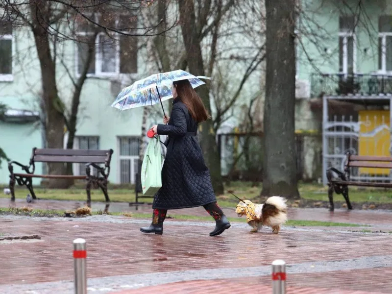 Cold front is moving toward Ukraine, but it is still too early to talk about a serious cold snap, says weather forecaster