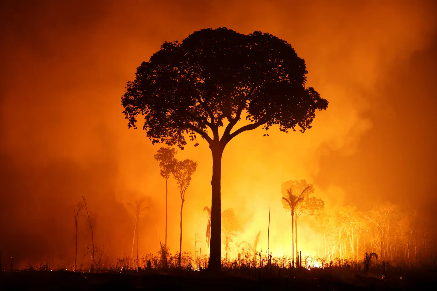 Global warming is accelerating — climatologist cites alarming data