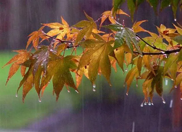 When rain will come and when warm and dry weather is expected — forecasters have issued a three-day forecast