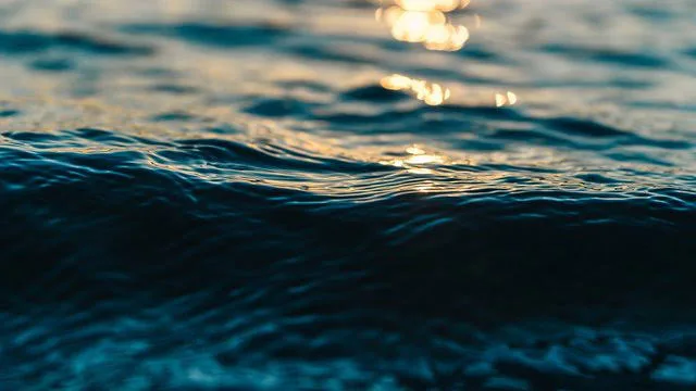 Ukraine prevented Russia from assuming the chairmanship of the Black Sea Commission
